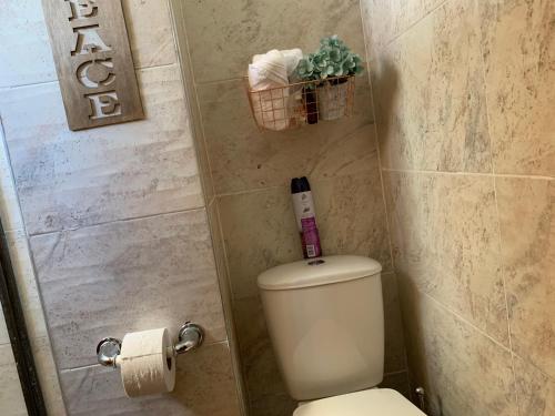 Koupelna v ubytování Habitación en apartamento compartido al frente del cc Unico
