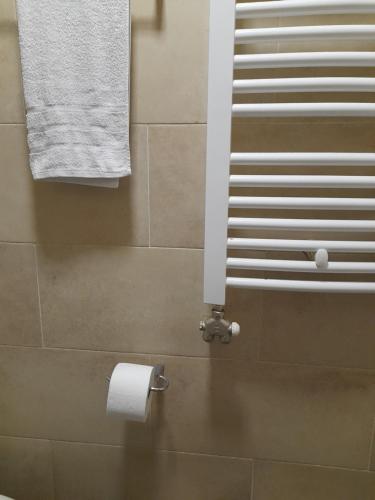 a bathroom with a roll of toilet paper and a mirror at Nikola NS in Novi Sad