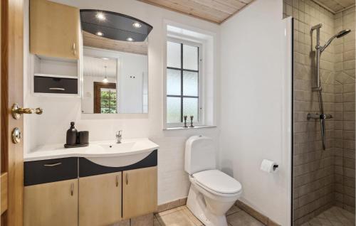 a bathroom with a sink and a toilet and a shower at Lovely Home In Hesselager With Wifi in Hesselager