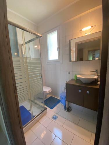 a bathroom with a shower and a sink and a toilet at Villa Vision in Skala Potamias