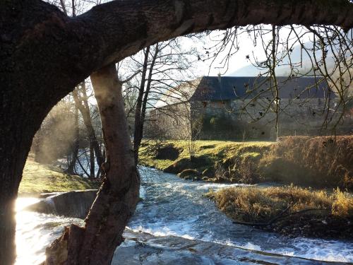 a river with snow on the ground next to a tree at Bed In Bellongue in Aucazein