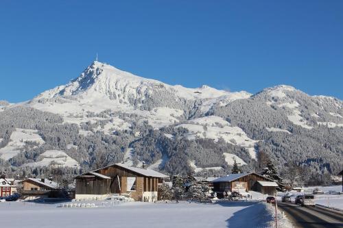 a snow covered mountain with a village in the foreground at Bergliebe by Apartment Managers in Kirchberg in Tirol