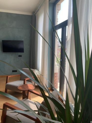 a living room with a potted plant in front of a window at Boutique Hotel Marie Marie in Dendermonde