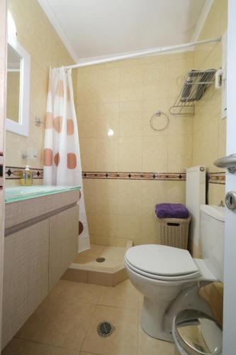 a bathroom with a toilet and a sink and a shower at Anemoessa Mesonet in Romanón