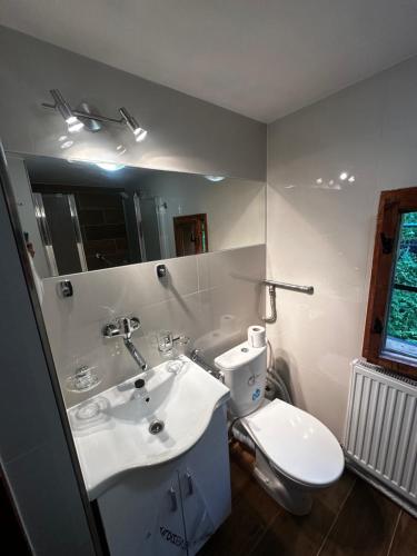 W łazience znajduje się umywalka, toaleta i lustro. w obiekcie Chata Retro w Starej Leśnej