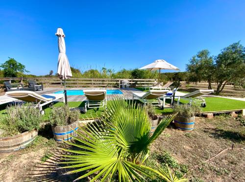 a pool with an umbrella and chairs and a palm tree at CAN DAMIA 2 in Cala Saona