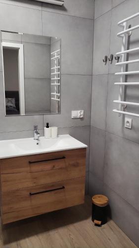 uma casa de banho com um lavatório e um espelho em Central Platinum Apartments 2 em Rybnik