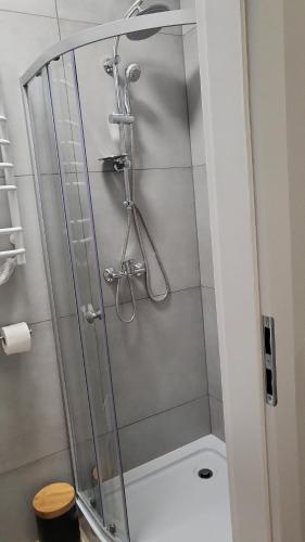 W łazience znajduje się prysznic ze szklanymi drzwiami. w obiekcie Central Platinum Apartments w Rybniku