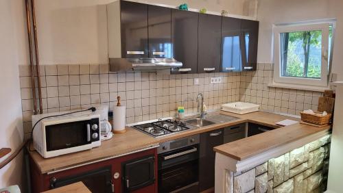 een keuken met een magnetron en een fornuis top oven bij Country Home Močilo, Zagvozd in Zagvozd