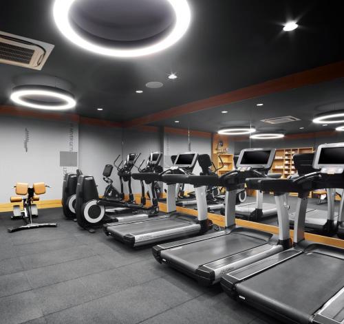 a gym with treadmills and elliptical machines at Holiday Inn Istanbul - Kadikoy by IHG in Istanbul