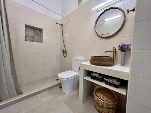 La salle de bains est pourvue de toilettes, d'un miroir et d'une douche. dans l'établissement ALAMENA II, à Skiros