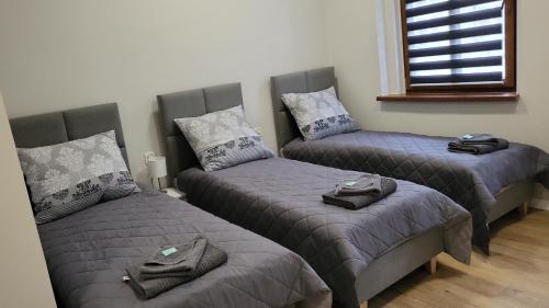 a bedroom with two twin beds and a window at Central Platinum Apartments in Rybnik