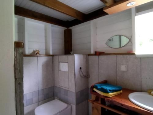 a bathroom with a toilet and a sink at Aichi lodges gîtes in Capesterre-de-Marie-Galante