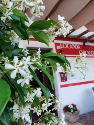 a tree with white flowers in front of a store at Locanda Chiocciola in Quero