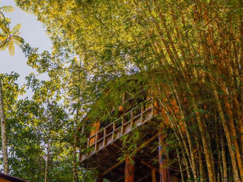 Zahrada ubytování Glamping Río Claro