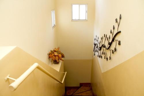 Galería fotográfica de Hotel Colibri en Managua
