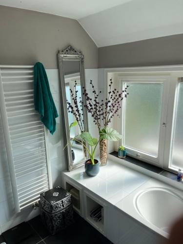 ein Bad mit einem Waschbecken und einem Spiegel in der Unterkunft BeBaBops Homestay Utrecht in Utrecht
