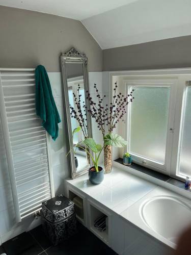 Fotografie z fotogalerie ubytování BeBaBops Homestay Utrecht v destinaci Utrecht