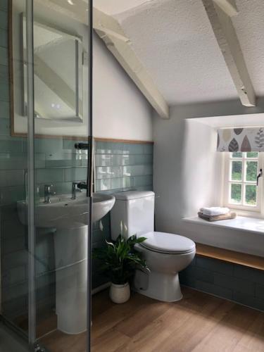 a bathroom with a toilet and a sink and a shower at Blisland Cottage in Blisland