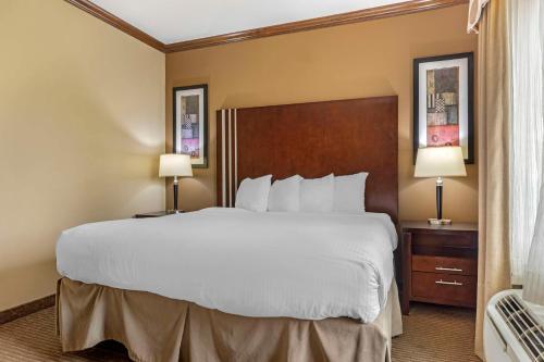 a large bed in a hotel room with two lamps at Best Western Plus Texoma Hotel & Suites in Denison
