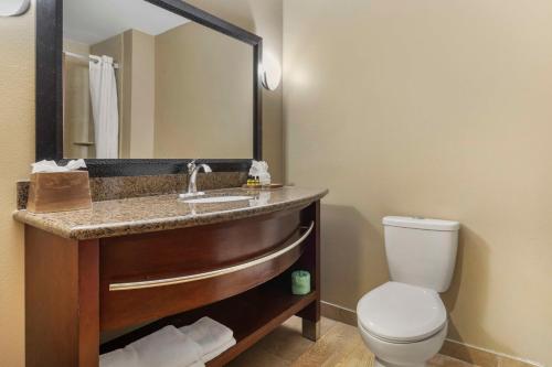 a bathroom with a sink and a toilet at Best Western Plus Texoma Hotel & Suites in Denison