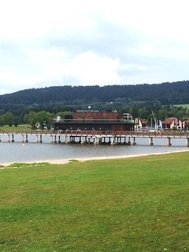a pier on the water with a building on it at Apartman LEO Nr. 8 Lipno nad Vltavou in Lipno nad Vltavou
