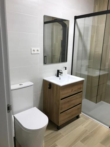 Trasariz Suites 1 في Vimianzo: حمام مع مرحاض ومغسلة ودش