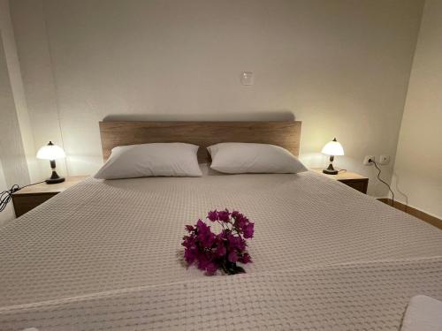 Ảnh trong thư viện ảnh của Ammouliani Apartments ở Đảo Amolianí