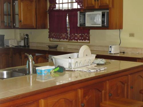 eine Küchentheke mit einem Geschirrständer darauf in der Unterkunft OceanView Villa in Buccoo