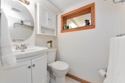 a bathroom with a toilet and a sink and a mirror at Gulf Island View Suite in Chemainus