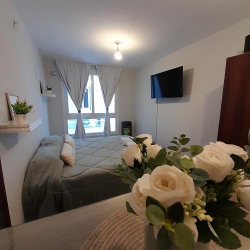 Plaza Apart 6, Monoambiente
