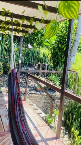 a hammock under an umbrella in a garden at Cabaña Tierra Verde eje Cafetero in Manizales