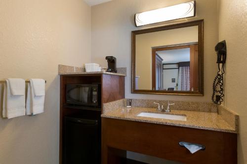 a bathroom with a sink and a mirror and a microwave at Rosen Inn Lake Buena Vista in Orlando