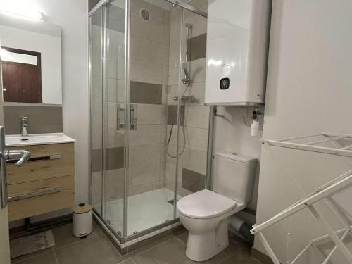 een badkamer met een douche, een toilet en een wastafel bij Appartement Praz-sur-Arly, 1 pièce, 5 personnes - FR-1-603-79 in Praz-sur-Arly