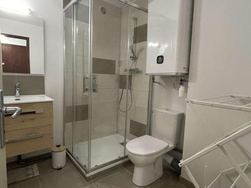 une salle de bain avec une douche avec des toilettes et un lavabo dans l'établissement Charmant studio à Praz-Sur-Arly pour 5 pers. proche ski et lac, parking et casier à ski inclus - FR-1-603-79, à Praz-sur-Arly