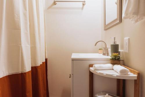 Un baño con lavabo y cortina de ducha. en Sage Haven #2, en Johnson City