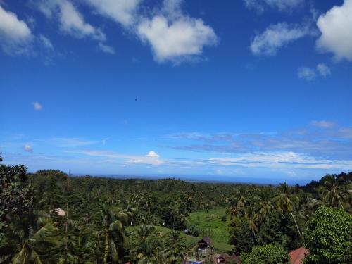 a view of a jungle with trees and a blue sky at Kebun Villa, Belimbing, Bali in Tabanan