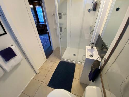 a bathroom with a toilet and a walk in shower at Paihia Place Cottage - central Paihia in Paihia