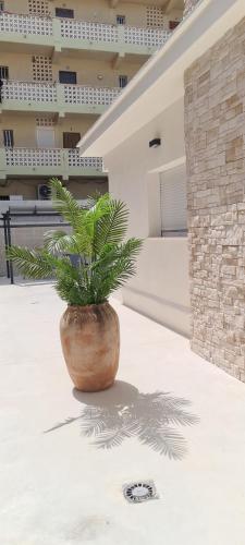 a plant in a pot sitting on a patio at Ona Beach daimuz in Daimuz