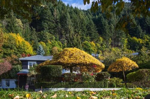 a house in a garden with bushes and trees at Pinewood Queenstown in Queenstown
