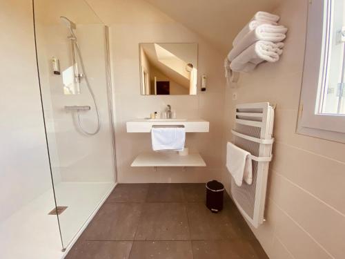 een badkamer met een douche, een wastafel en een spiegel bij Hôtel Restaurant Le Relais des Gourmands in Gramat