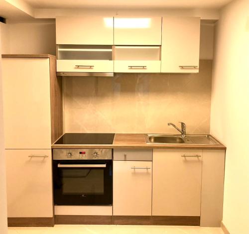 uma cozinha com armários brancos e um lavatório em Apartment Deluxe with Garden Rapperswil-Jona em Jona