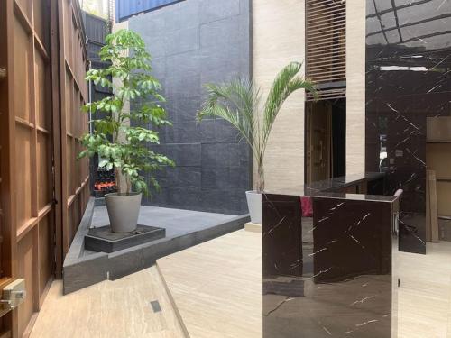a lobby with two potted plants in a building at Contenedores Maritimos in Mexico City