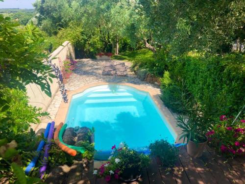 una vista dall'alto di una piscina in un giardino di Mas Luis Alvarez a La Capelle-et-Masmolène