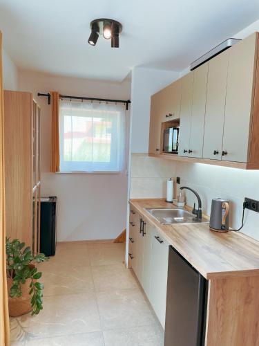 Η κουζίνα ή μικρή κουζίνα στο Apartmán Vinařství 1838