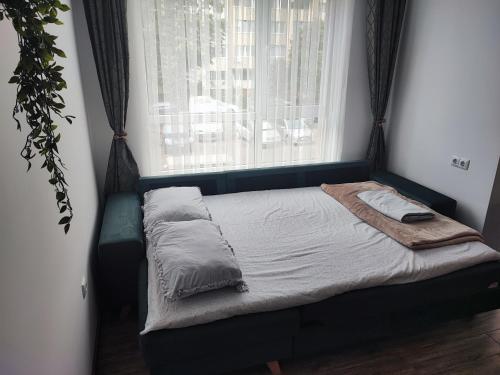 Bett in einem Zimmer mit Fenster in der Unterkunft Studio Green Зелено Студио in Burgas City