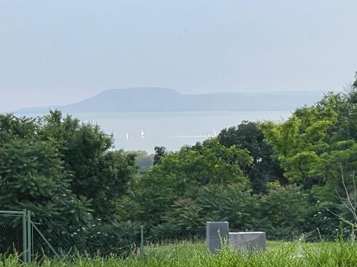 a view of the ocean from a field with trees at Blue Home in Balatonföldvár