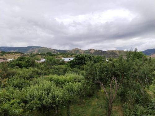 un campo con alberi e montagne sullo sfondo di Garni Guesthouse a Garni