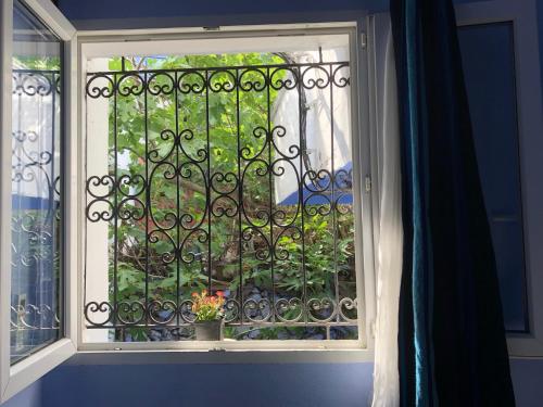 a window with a gate with flowers in it at Dar Fatima in Chefchaouene