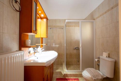 ein Bad mit einer Dusche, einem Waschbecken und einem WC in der Unterkunft VILLA SISSY CAREFREE VACATIONSΘΕ in Theológos